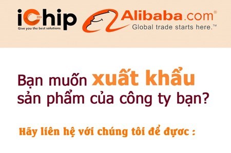 Chương trình hỗ trợ xuất khẩu toàn diện 