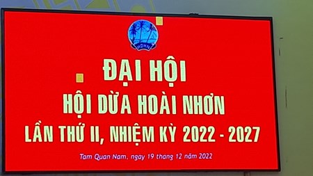 Đại hội đại biểu Hội dừa Hoài Nhơn. Tỉnh Bình Định