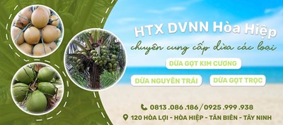 Dừa tươi gọt kim cương