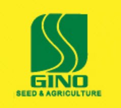 Công ty GINO