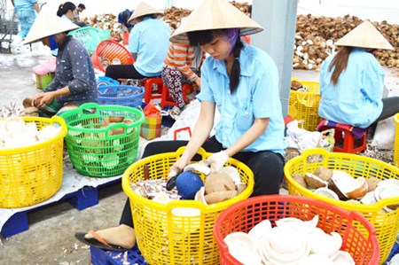 Chú trọng đầu tư công nghệ sản xuất